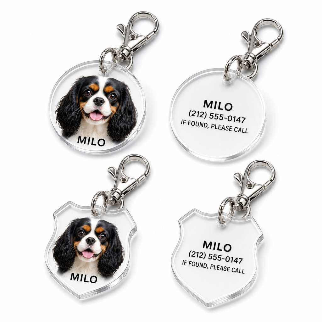 custom acrylic pet ID tag for dogs and cats