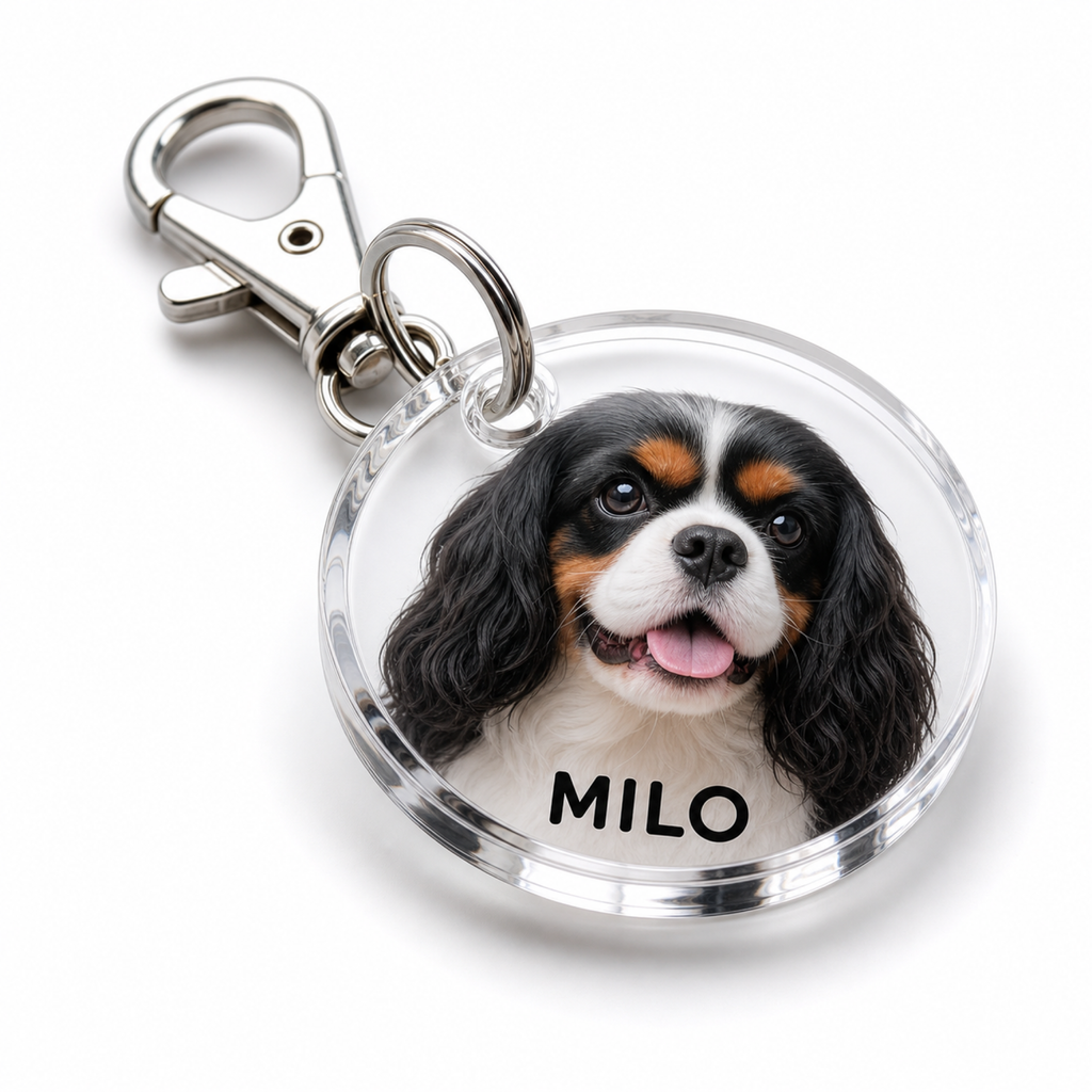 Custom Acrylic Pet ID Tag