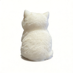 Realistic Cat Squishy - Stress Relief Toy