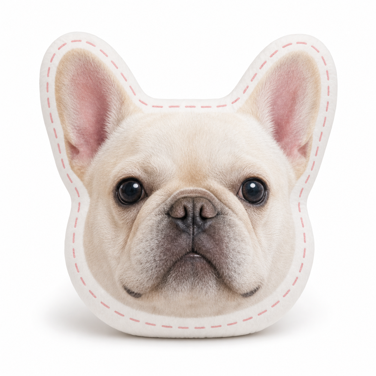 Custom Pet Portrait Pillow