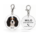 Custom Acrylic Pet ID Tag