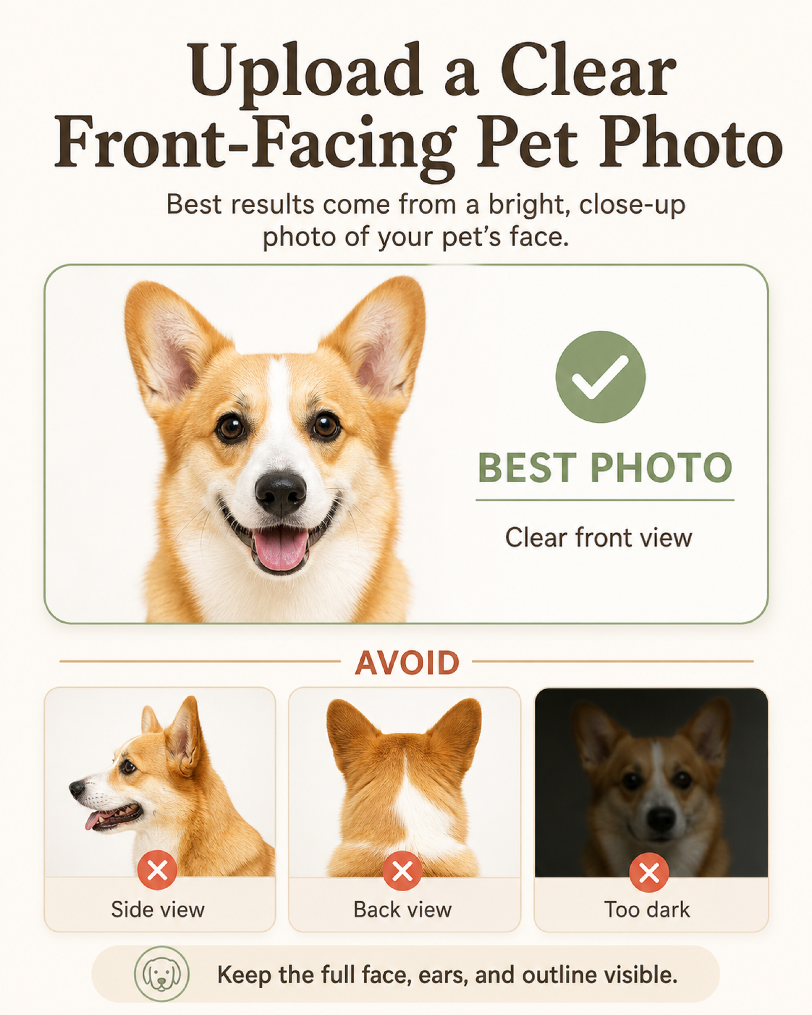 Custom Pet Portrait Pillow
