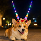 LED light-up scholar hat for pets and kids