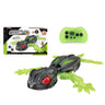 RC Toys
